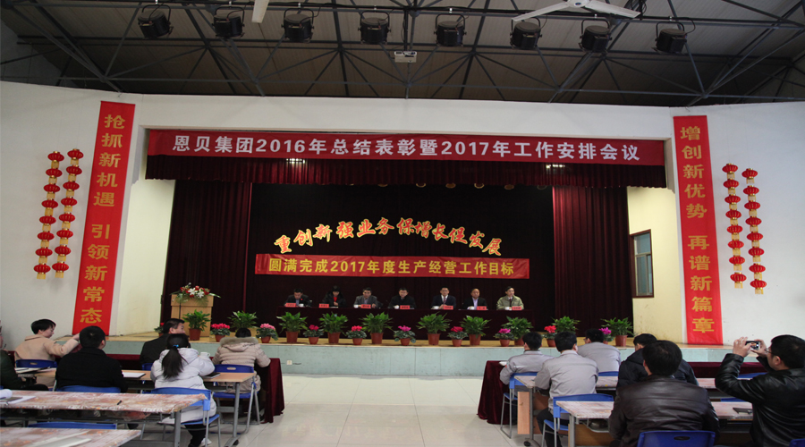 集團(tuán)公司召開2016年度總結(jié)表彰暨2017年度工作安排會(huì)議